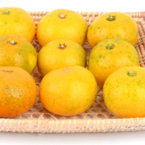 라탄 사각트레이 홈카페 디저트 빈티지 야채보관 귤바구니