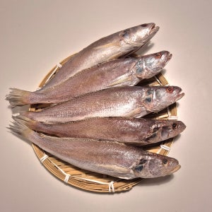 반건조 손질 민어 조기 35cm 3마리 5마리 제수용 1등급 참조기 생선 구이