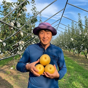 황금배 햇배 신고배 나주배 산지직송 선물세트 가정용 3KG 5KG 7.5KG 15KG