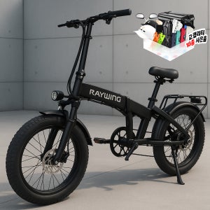 레이윙 러쉬 전기자전거 48V 500W 25Ah
