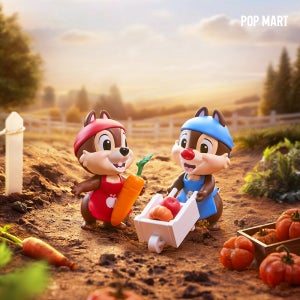 광고 메인 이미지