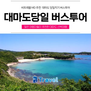 [ 당일패키지 ] 대마도 당일치기 면세점쇼핑 씨플라워 노바 쓰시마링크 부산출발 대마도배편