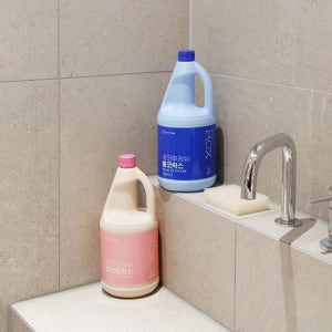 에코후레쉬 에코락스 2L x 6개 가정용 대용량 살균 소독 화장실 욕실 청소