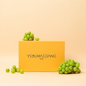 고당도 프리미엄 샤인머스캣 3구 5구 세트 2kg