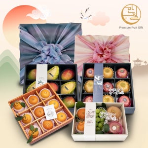 프리미엄 명절 과일선물세트 혼합과일 사과배선물세트 망고 한라봉 천혜향 레드향 샤인머스캣