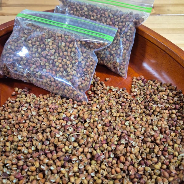 국산 씨 제거 초피 제피 자연건조 야생 토종 산지직송 50g