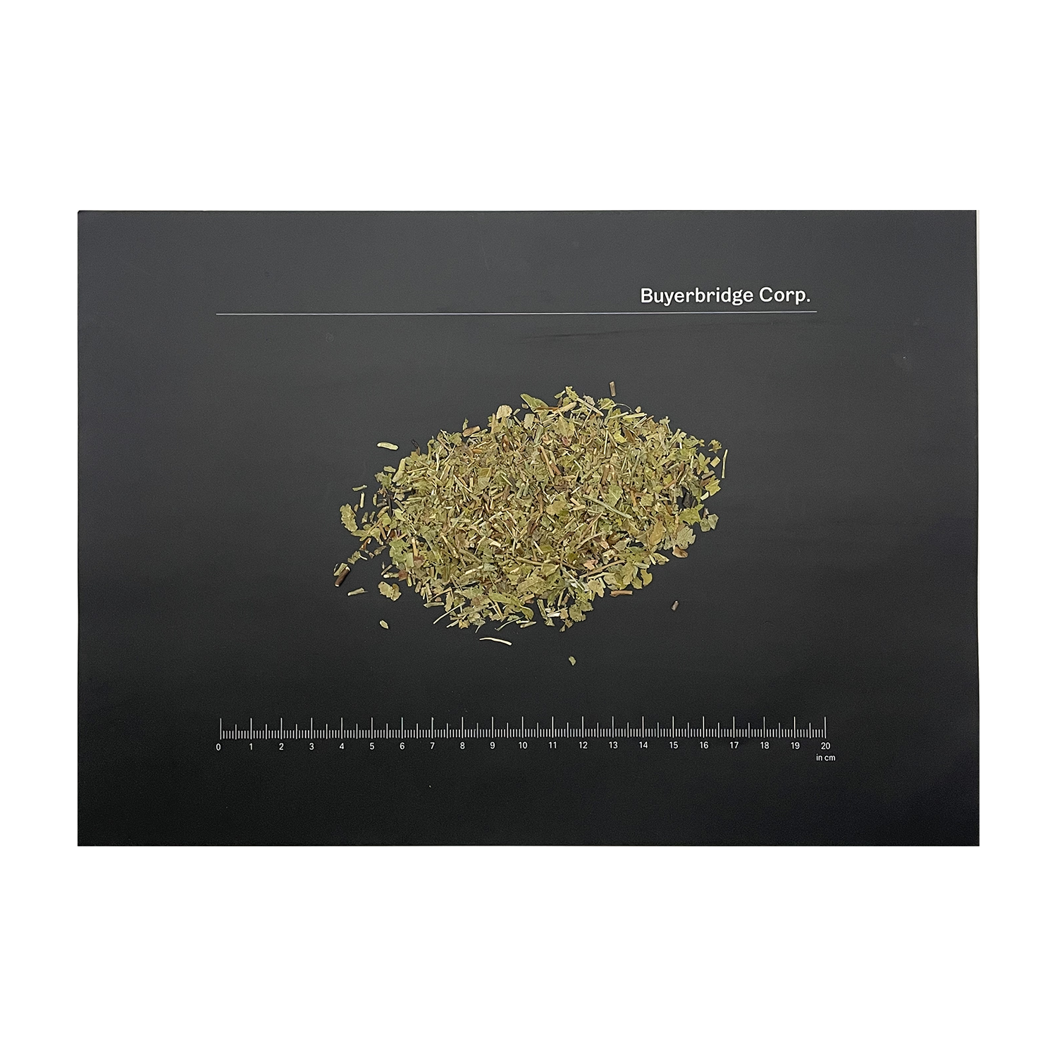 건조 빌베리 잎 <b>Bilberry</b> Leaf Vaccinium myrtillus 100g