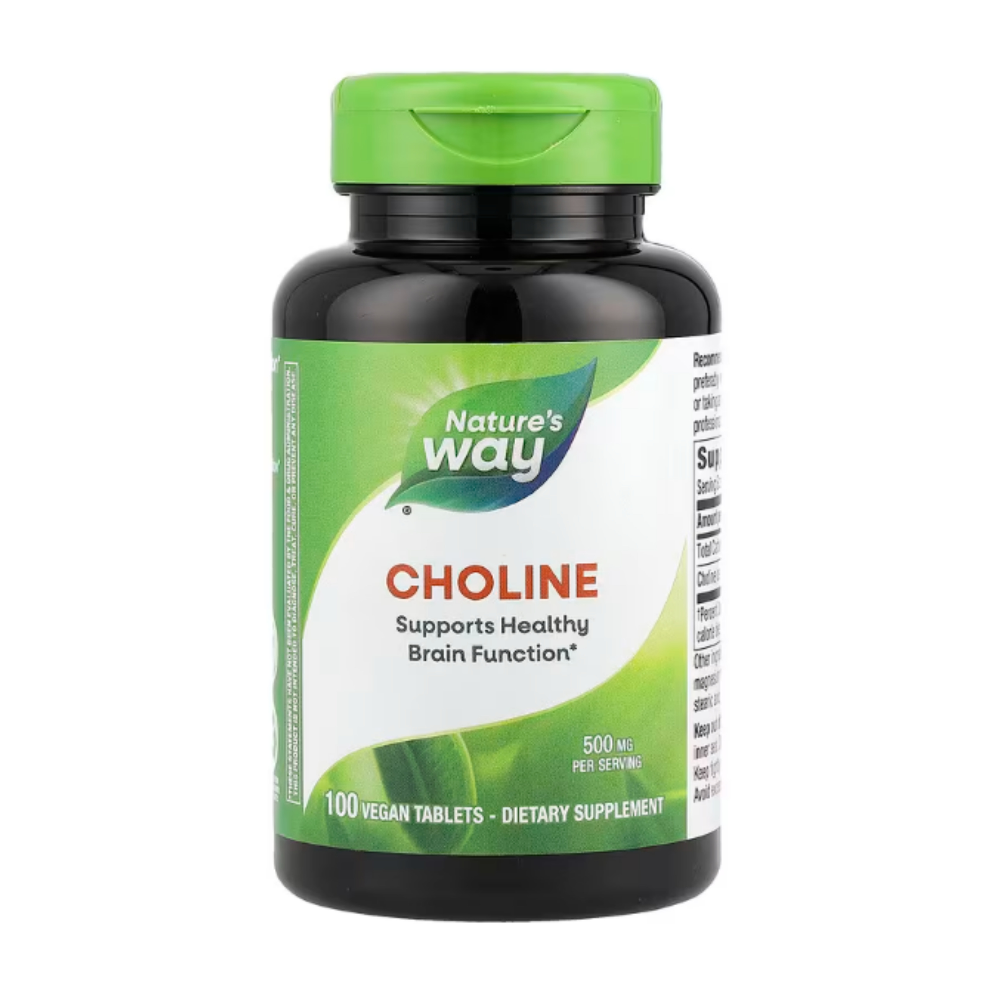 <b>네이쳐스웨이</b> 콜린 Choline 500mg 비건 100정