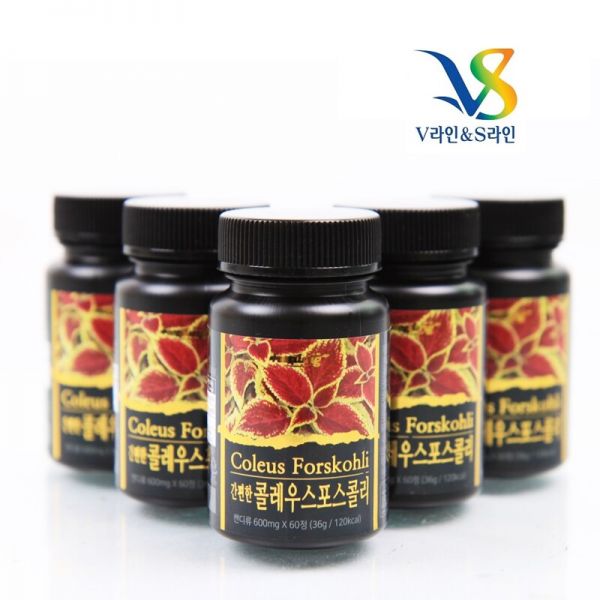 V라인 S라인 콜레우스포스콜리 600mg 60정 4통
