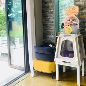 펫키지 UV-C살균 드라이룸 스마트 펫케어 홈 두그루 방문 체험가능 [국내 자체 생산]