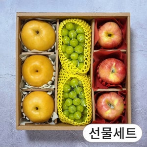 [올바르다] 알찬 과일 선물세트 샤인머스켓 배 사과 한가위 추석 명절 설날