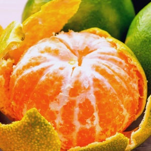 제주 고당도 프리미엄 로얄과 노지귤 10kg