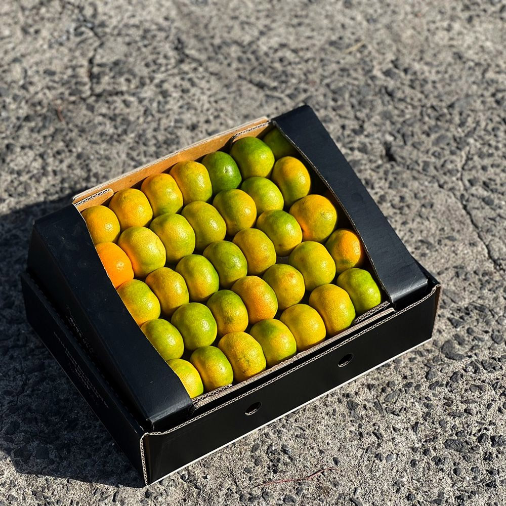 JD-(명절세트) 감귤 선물세트 3kg 2s-s 소과