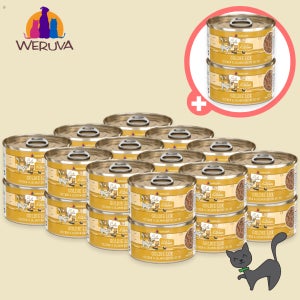 웨루바 주식캔 캣츠인더키친 골디락스 캔 90g 24개 +2개