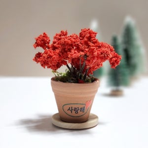 나무 모형 화분 3종 미니어처 차량 장식 테라리움 소품 반려동물 추모 공간 납골당 꾸미기