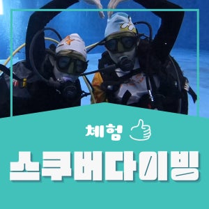 수원 스킨스쿠버 스쿠버다이빙 체험