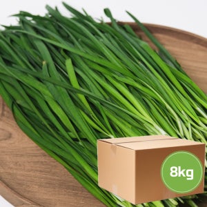 부추 8kg [ 신선야채 싱싱한 야채 채소 식자재 업소용 대용량 ]