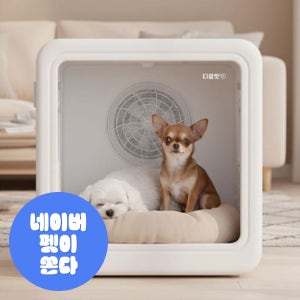 [디클펫] 펫드라이룸 강아지 고양이 드라이기 털 건조기 말리기 러브에어 플러스 자동문열림