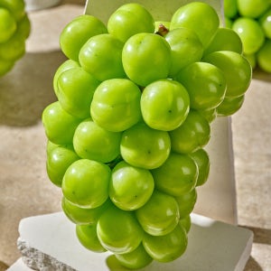 프리미엄 고당도 김천 샤인머스켓 설날 선물세트 씨없는 포도 산지직송 2kg