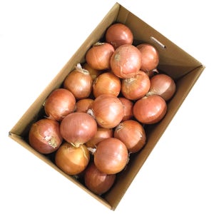 중국산 수입 양파 15kg 특대사이즈 업소용 식자재