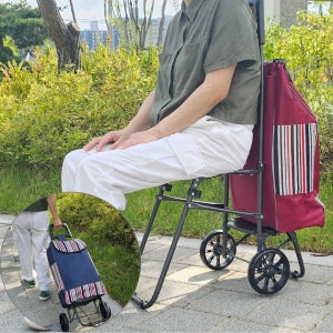 다용도장바구니 의자겸카트 어머니 할머니 선물 마트 시장