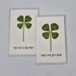 MJ 900 (진짜 네잎클로버 생화 코팅 카드-행운글귀 31가지-백색 한지-봉투 10가지)