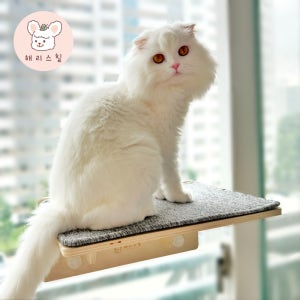 고양이 카페트 창문 해먹 원목 윈도우 스텝 해리스힐