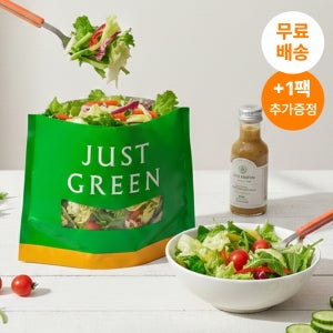 저스트그린 유러피안 샐러드 3종 5개/ 6개/ 9개 정기구독 야채믹스 한끼샐러드