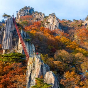 부산출발 기차여행 대둔산 가을 단풍 당일 코레일 국내여행 패키지 [울산 대구 출발]