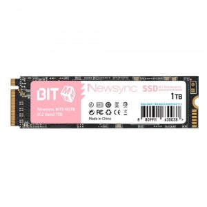 비트엠 Newsync BITS M.2 NVMe (1TB)