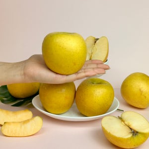 시나노골드 황금사과 가정용 흠과 1kg 2kg 3kg 5kg 한입꼬마 소과 중과 중대과