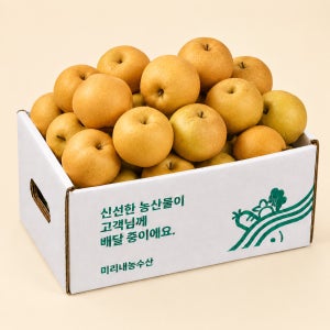 나주배 3kg 5kg 7kg 가정용 신고배