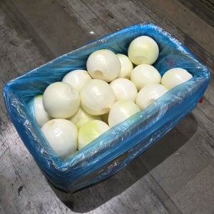 중국산 수입 깐양파 10kg 특대 왕특대 업소용 식자재