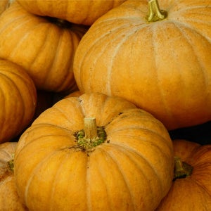 국내산 울릉도 늙은호박 맷돌호박 3kg 5kg