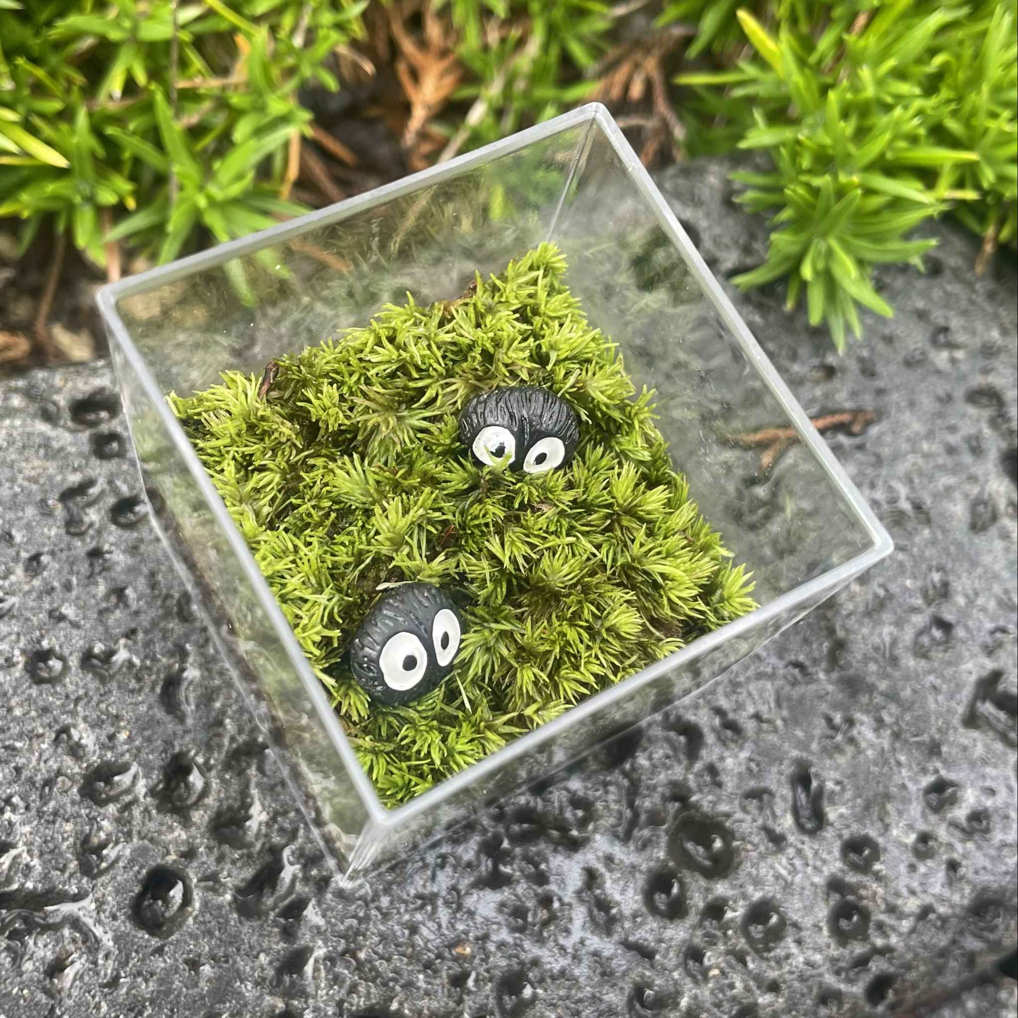 [용산] 미니 큐브 이끼 숲 원데이 클래스