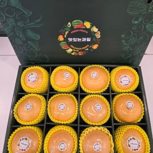 당도보장 프리미엄 명절 과일 선물 세트