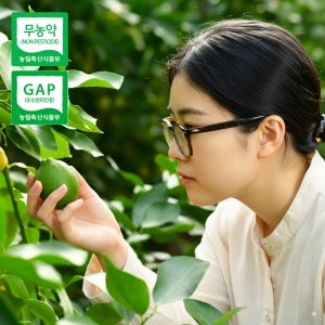 무농약+GAP 국산레몬 장성군 청레몬 2kg