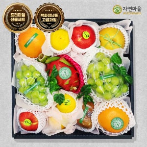 [백화점납품] 자연마을 정성 2호 프리미엄 제철 과일 혼합선물세트 (4.5kg 내외)