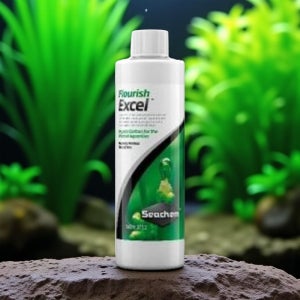붓이끼 제거 어항 청소 수질관리 녹조 실이끼 제거제 100ml