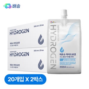 태초수 하이드로겐 수소수 수소 함유 미네랄 워터 온누리약국 350ml, 40개