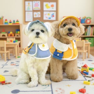 새싹 유치원 케이프 모자 세트 고양이 강아지 산책 가을옷 단체복 등원복 촬영 소품 장식