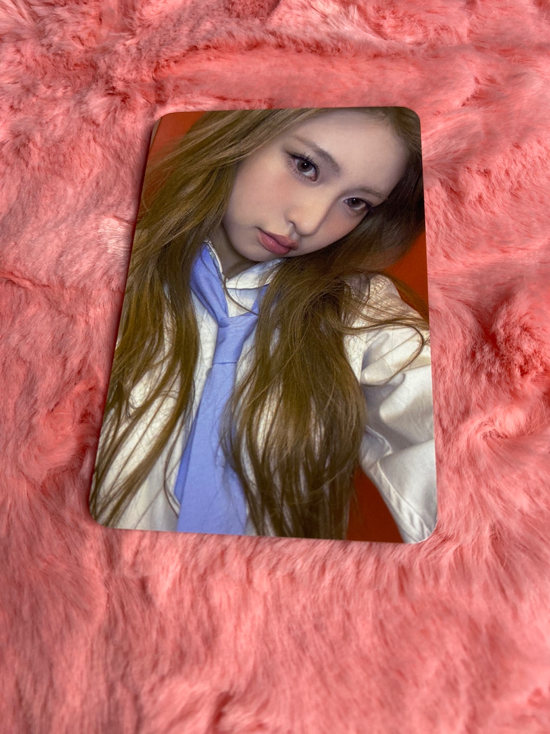 KiiiKiii Haum Photocard