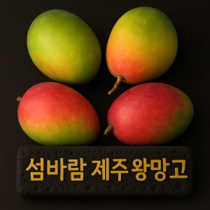 제주 왕 애플망고 산지직송 프리미엄 열대과일 선물용 가정용 13Brix, 3kg, 5개