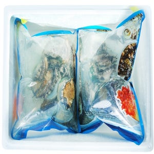 완도 국산 활전복 특대전복 2kg 4kg 8미-30미 업소용 대용량