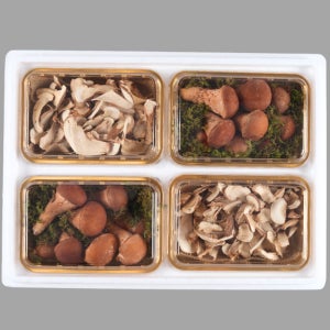 무농약 참송이버섯 특선 생물/건조 선물세트 산지직송 함평 스마트팜 2구 3구 4구