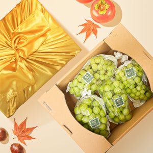 당일입고 당일배송 산지 고당도 프리미엄 샤인머스켓 특상품 왕포도 망고포도 4kg, 1개