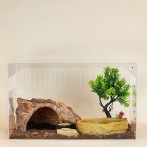 소라게 도둑게 키우기 사육장 빌드몬스터 고급형 세트 투명 50x30x30cm