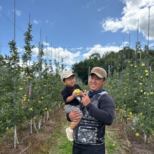 청송삼형제농원 시나노골드 황금사과 산지직송 청송 꿀사과 선물 못난이 10kg