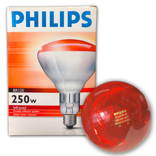 임프라 레드 전구