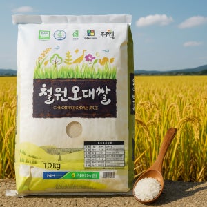 [밥맛전환] 동송농협 철원오대쌀 4kg, 1개